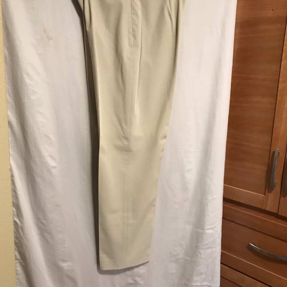 Ann Taylor lined tan dress pants size 10P